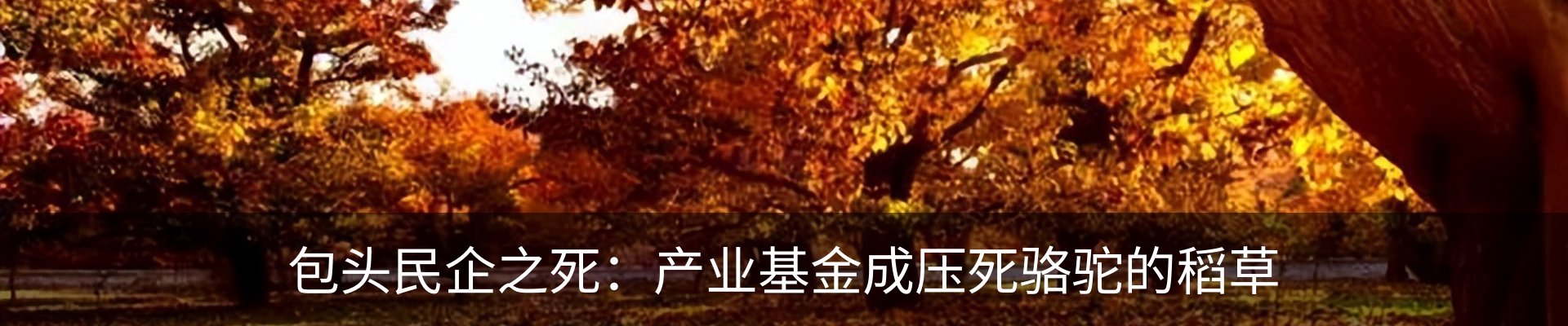 资讯中心